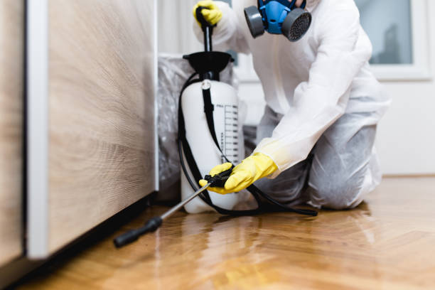Best Best Pest Control Companies  in Hickory Creek, TX