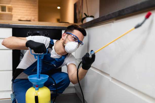 Best Cockroach Control Services  in Hickory Creek, TX
