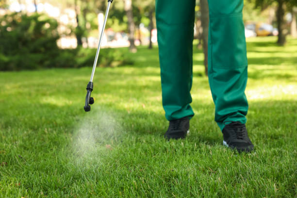 Best Commercial Pest Control Services  in Hickory Creek, TX