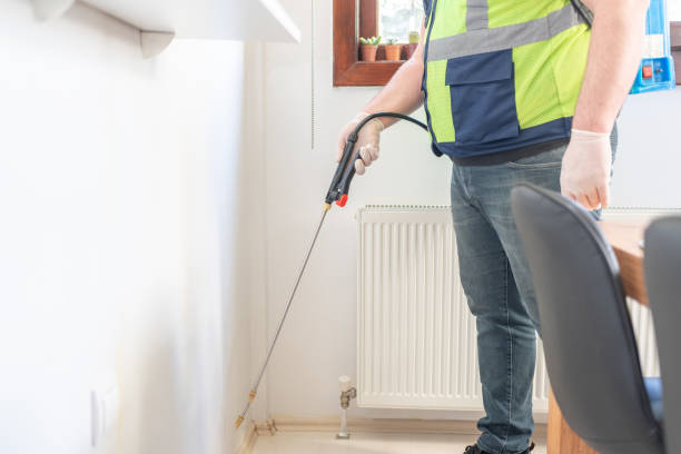 Best Affordable Pest Control Services  in Hickory Creek, TX