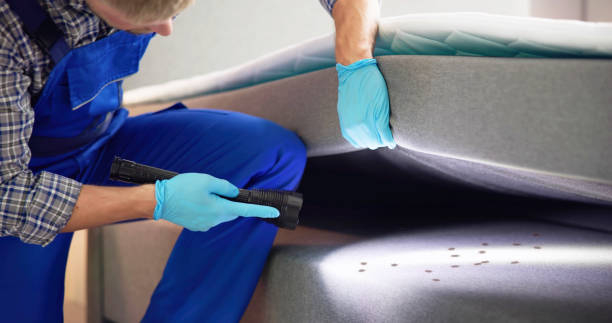 Best Flea Control Services  in Hickory Creek, TX