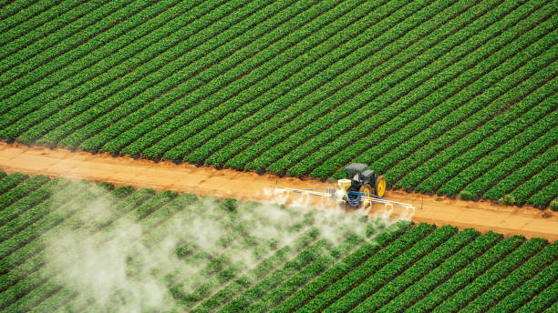 Best Best Pest Control Companies  in Hickory Creek, TX