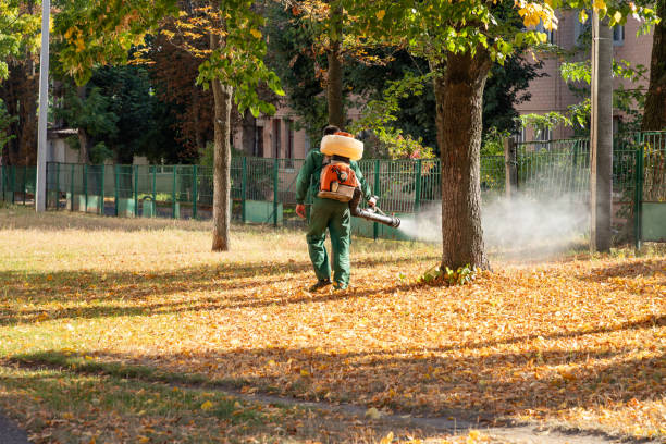 Best Best Pest Control Companies  in Hickory Creek, TX